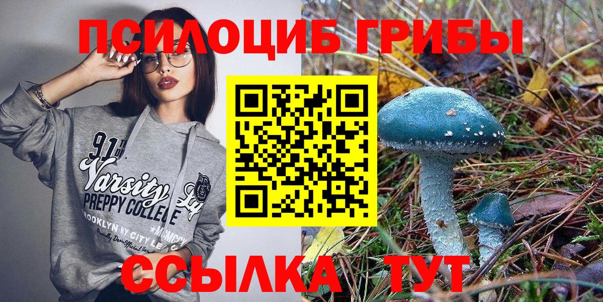 Псилоцибиновые грибы мухоморы Владикавказ