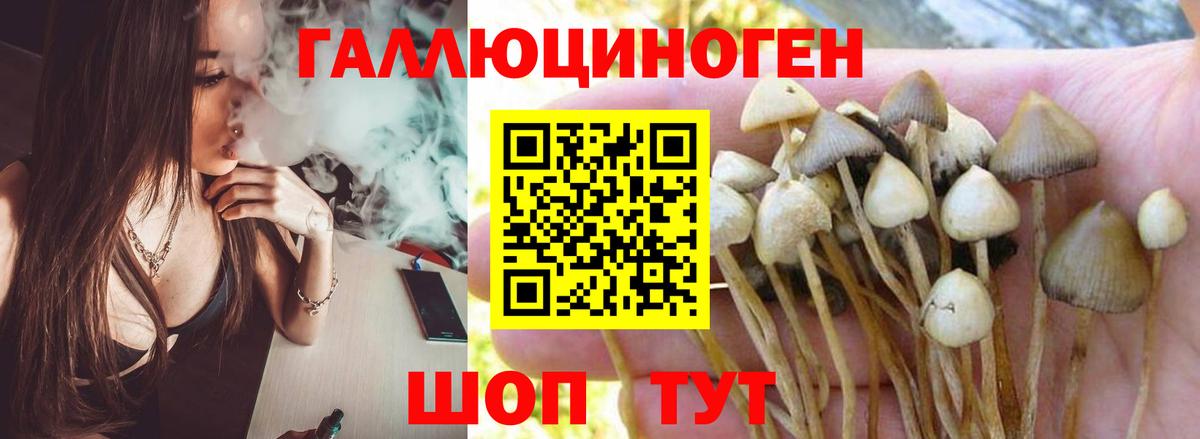 Владикавказ  Галлюциногенные грибы Magic Shrooms  Вход с VPN 